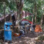 Homeless encampment in a wooded area in Auburn on Aug. 27, 2021. Photo by Henry Stewart-Wood/Sound Publishing