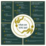 What you can do to assist kelp, depending on the situation you find yourself in. Courtesy of PSRF.