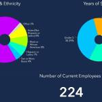 A portion of the workforce diversity dashboard. Courtesy of Bellevue Police Department.