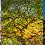 First Feds Proudly PNW photo contest is now open for submissions!