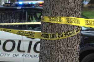 Photo courtesy of South Sound News