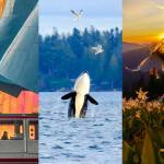 First Feds 2025 Proudly PNW Photo Contest drew nearly a thousand entries from community members across Western Washington. Courtesy First Fed