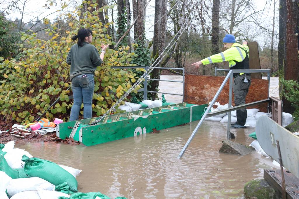 Ruby Randolph, 16, helps her dad Steve Randolph, a board member for Sustainable Renton, build up another wall of sandbags late Dec. 11 as water from the Cedar River seeps into the backyard of a Maplewood resident. Photo by Bailey Jo Josie/Sound Publishing
