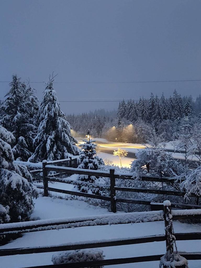 A snowy scene in the Snoqualmie Valley on March 13. Photo courtesy of Andrea De Shaw