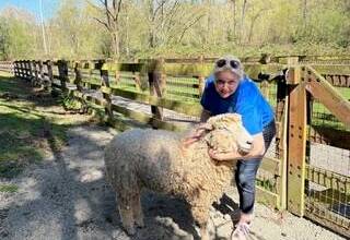Amy Wolf showing Shaun the Sheeps deep coat. Photos by Mindy Stern