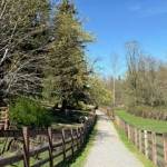 Kelsey Creek path. Photo by Mindy Stern