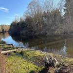 Photo by Mindy Stern