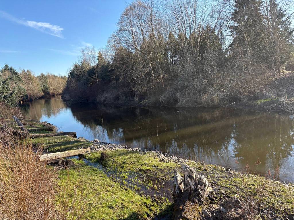 Photo by Mindy Stern