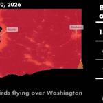 The night of April 30 showing peak bird migration in Washington state. Image courtesy of Purdue AeroEco Lab.