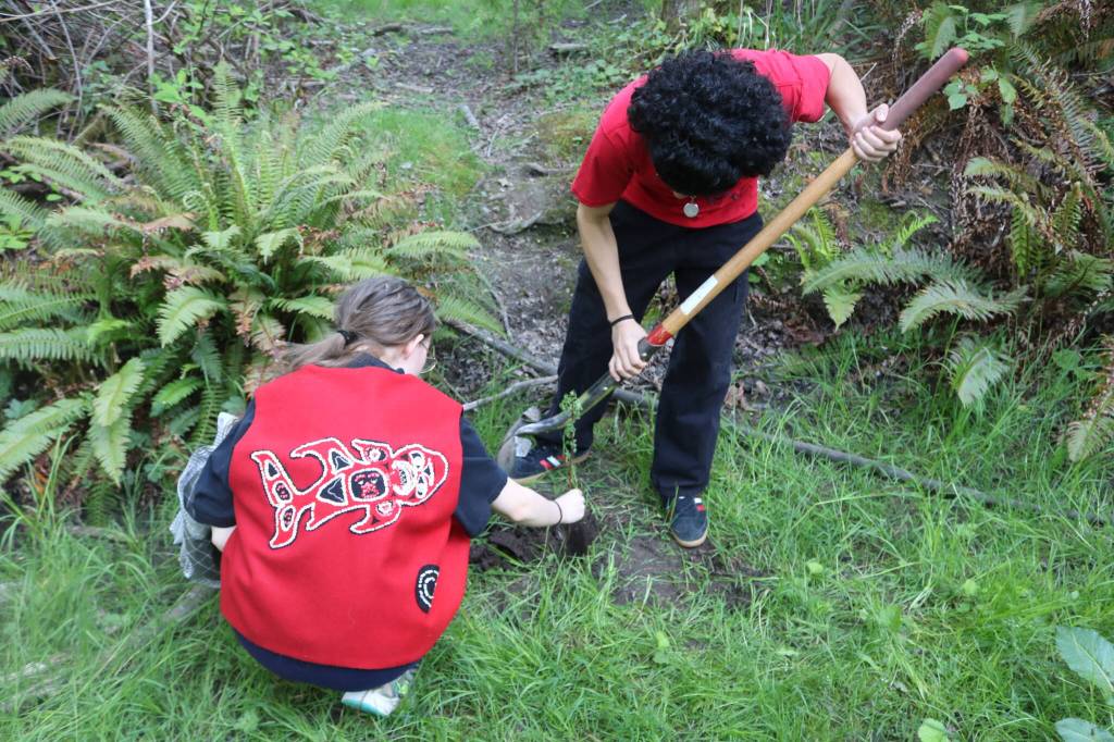Planting medicinal herbs near the Daybreak Star cultural center was part of this years MMIP Awareness Day in Seattle. Photo by Bailey Jo Josie/Sound Publishing.