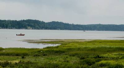 Belfare State Parks scenic shoreline. Photo courtesy Washington State Parks and Recreation